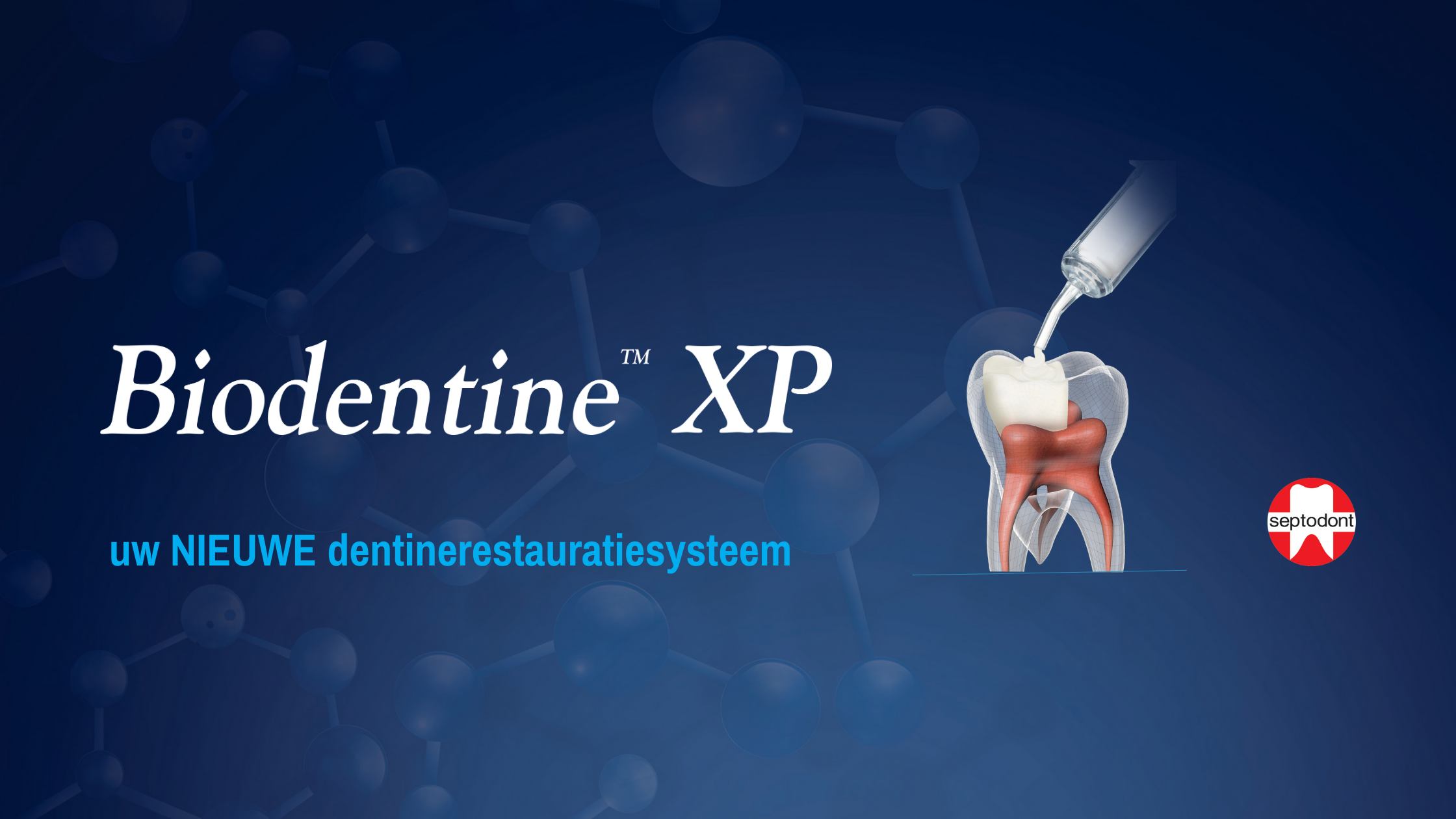 Septodont - Biodentine™ XP